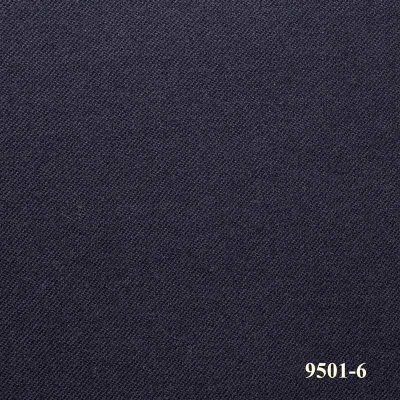 9501-6