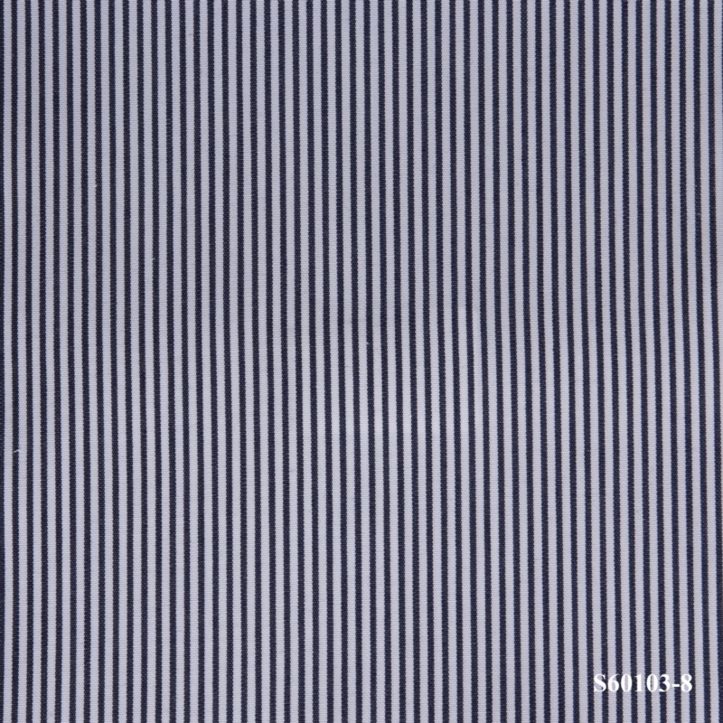 S60103-8