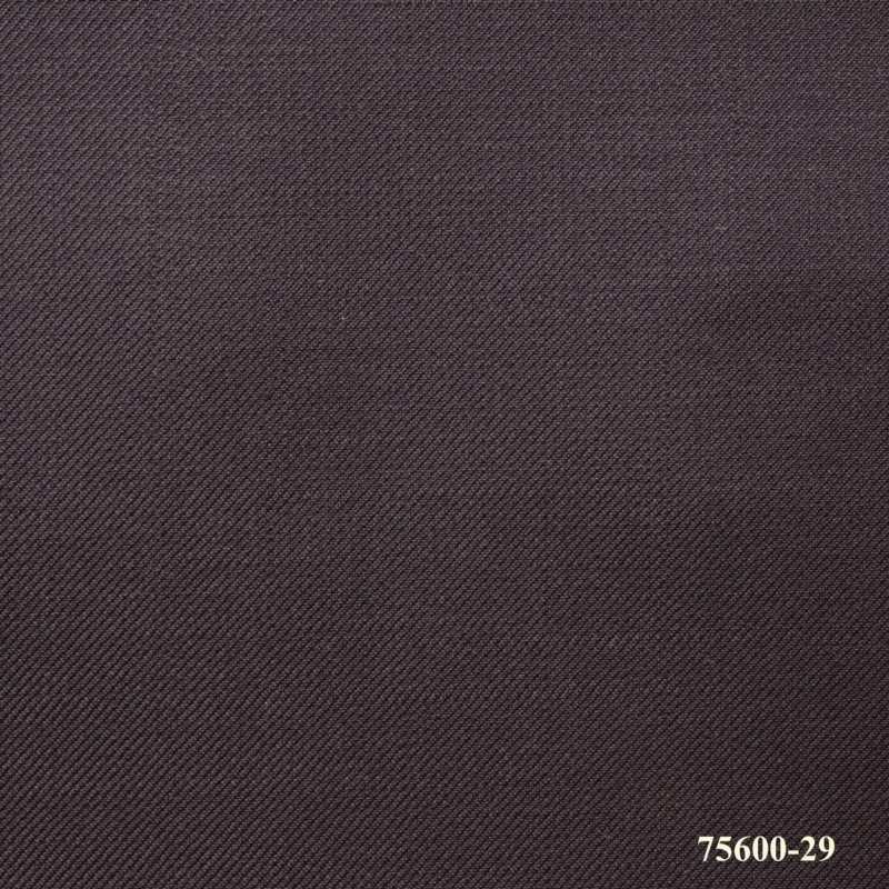 75600-29