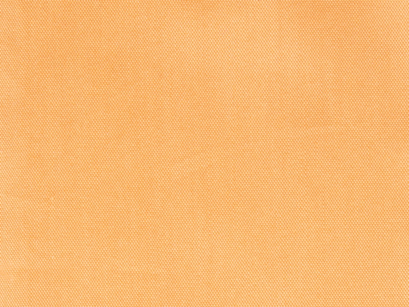 N6001-4_Mustard