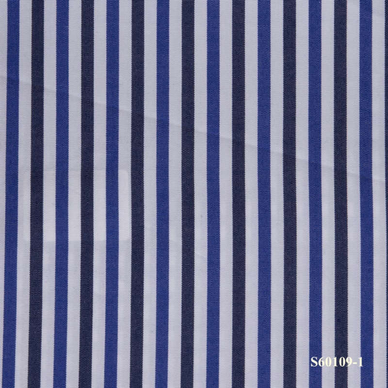 S60109-1