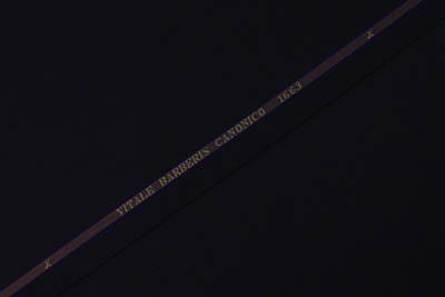 VBC-299